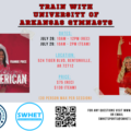 Clinics: Genesis Gymnastics University of Arkansas Clinic (Team)