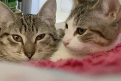   : Winnie & Tigger