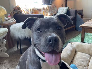   : Josie