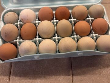 Selling with In-person Payment: Farm Fresh Unwashed Eggs