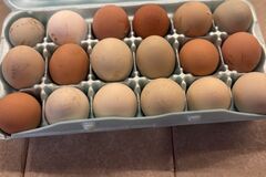 Selling with In-person Payment: Farm Fresh Unwashed Eggs