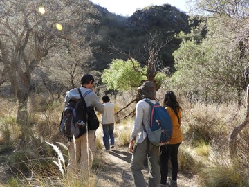Venta: Convertí tu empresa en guardiana del monte nativo