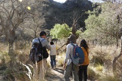 Venta: Convertí tu empresa en guardiana del monte nativo