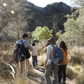 Venta: Convertí tu empresa en guardiana del monte nativo