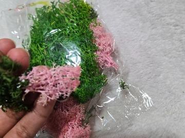 Selling with online payment: Fake Moss