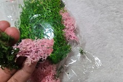 Selling with online payment: Fake Moss