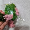 Selling with online payment: Fake Moss