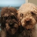   : Lola & Clyde