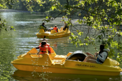 News: samedi 24 mai - Fête de la nature à Poissy