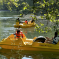 News: samedi 24 mai - Fête de la nature à Poissy