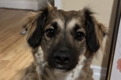   : Chaco