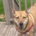   : Callie 