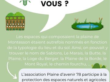 Actualité: LE SAVIEZ VOUS ? 