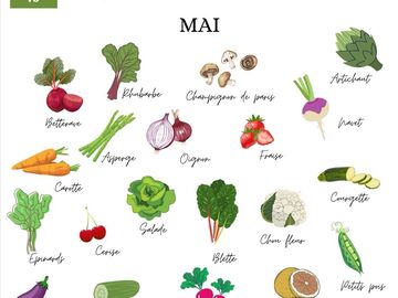 Actualité: L'asso Plaine d’avenir 78