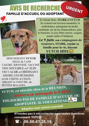 YUTCH, de la RÉUNION, arrive en métropole le 9 JUIN. I