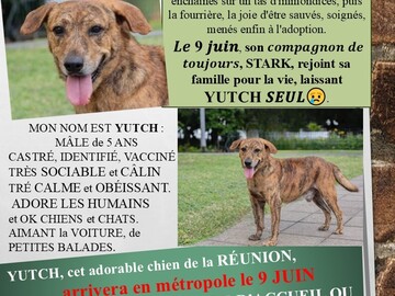 Helping out: YUTCH, de la RÉUNION, arrive en métropole le 9 JUIN. I