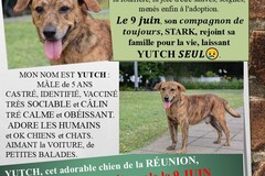 Helping out: YUTCH, de la RÉUNION, arrive en métropole le 9 JUIN. I