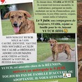 Helping out: YUTCH, de la RÉUNION, arrive en métropole le 9 JUIN. I