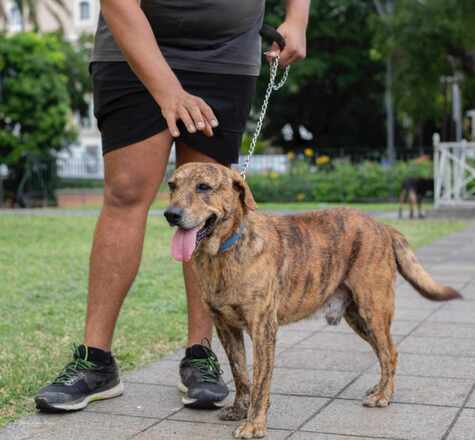YUTCH, de la RÉUNION, arrive en métropole le 9 JUIN. I