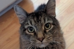   : Jax