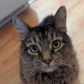   : Jax