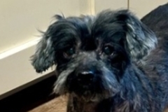   : Toto