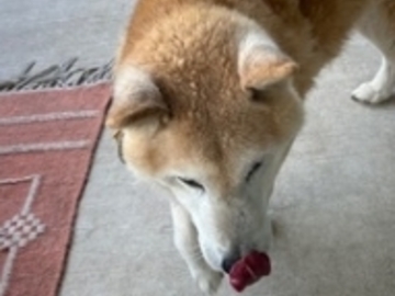   : Yuji