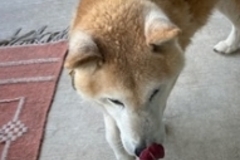   : Yuji