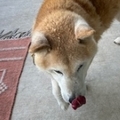   : Yuji