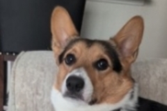   : Rocket