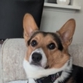   : Rocket