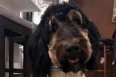   : Rocko 