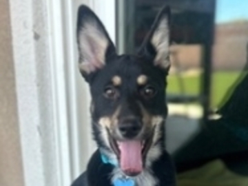   : Cleo