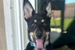   : Cleo