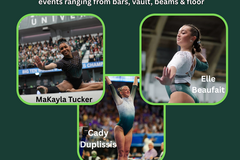 Oferta: Bounce Gymnastics Michigan State Clinic