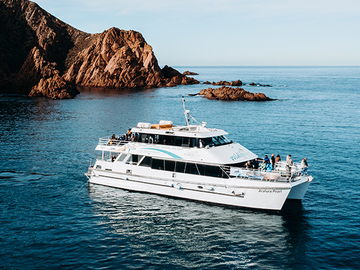 Direct Booking: Wildlife Coast Cruises - Private Charter & Functions