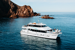 Direct Booking: Wildlife Coast Cruises - Private Charter & Functions