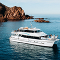 Direct Booking: Wildlife Coast Cruises - Private Charter & Functions