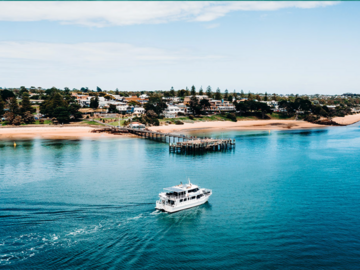 Direct Booking: Phillip Island Seal Cruise