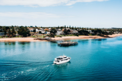 Direct Booking: Phillip Island Seal Cruise