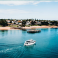 Direct Booking: Phillip Island Seal Cruise