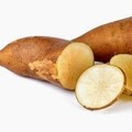 Vente: Plant de yacon (ou poire de terre)