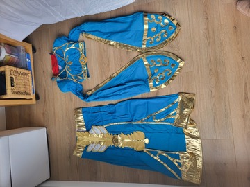 Selling with online payment: Princess Zelda Legend of Zelda Breath of the Wild Blue Dress Cosp
