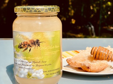 Les miels : Miel de Printemps Multi fleurs Colza   récolte Mai 2025