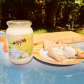 Les miels : Miel de Printemps Multi fleurs    récolte Mai 2025