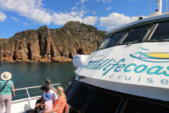 Cape Cruise - Phillip Island