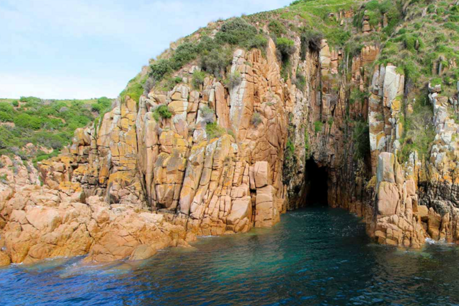 Cape Cruise - Phillip Island