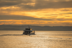 Direct Booking: Island Sunset Cruise - Phillip Island