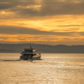Direct Booking: Island Sunset Cruise - Phillip Island