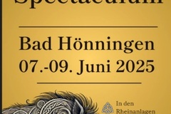 Termin: 20. Pfingstspectaculum Bad Hönningen, 2025 - D
